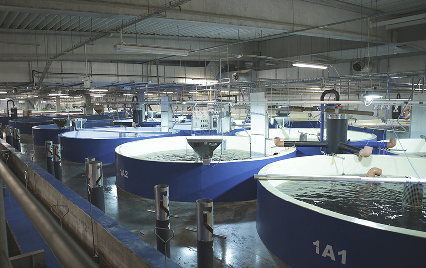 6. Tratamento de &aacute;gua de fibra de vidro